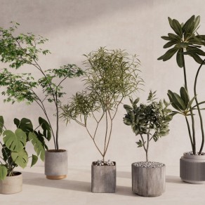 现代植物盆栽 室内装饰盆栽 植物组合