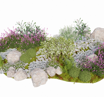 现代灌木丛 植物组合 花草石头 园林景观