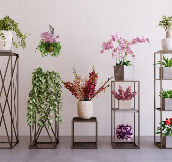 现代植物盆栽组合 灌木花草 室内绿植摆件装饰