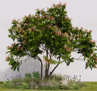 现代景观植物乔木 观赏树造型树 植物组合 花草灌木