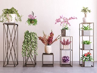 现代室内植物盆栽盆景  花卉花瓶 鲜花绿植