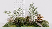 现代庭院花园植物组合乔木灌木 植物堆灌木球 花卉花草石头 盆栽盆景
