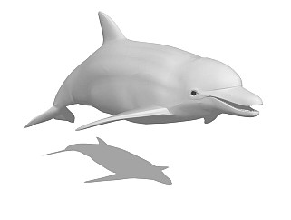 精品动物模型海豚