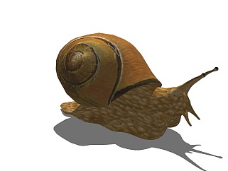 精品动物模型-蜗牛