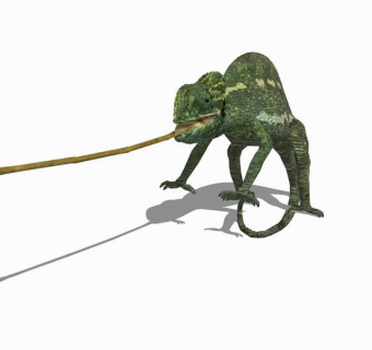 精品动物模型变色龙