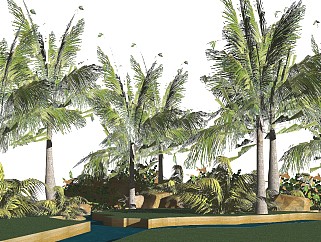 椰树行道树SU模型