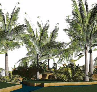 椰树行道树SU模型