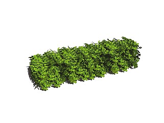 現代風格綠籬 植物 草堆SU模型