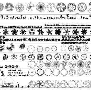 植物 施工图CAD图纸