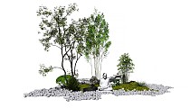 新中式庭院花园 假山石头 枯山水庭院景观 松树 室外植物 禅意景观