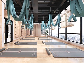 现代 绿色 健身 瑜伽室 SU模型
