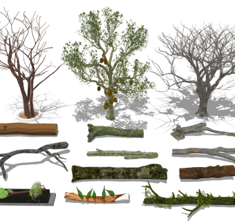 枯树木 树枝树杆