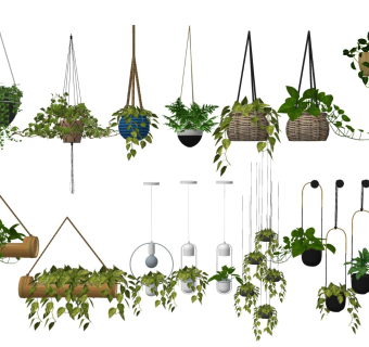 绿植吊篮