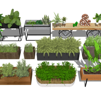 花箱花钵 绿植景观