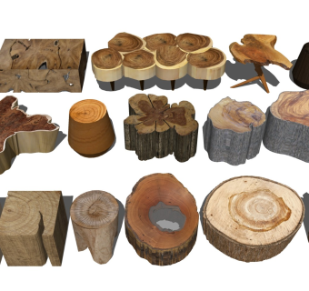 年轮树桩 树墩树根