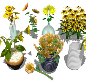 向日葵 鲜花花瓶