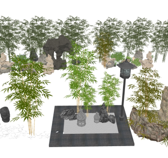 庭院竹林 竹叶竹子