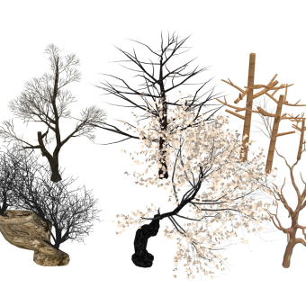 枯树木 树枝树杆
