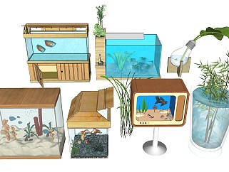 鱼缸 水族馆
