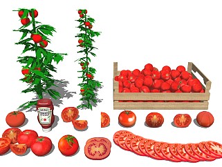 西红柿 水果蔬菜