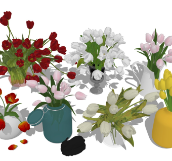 郁金香 鲜花花瓶