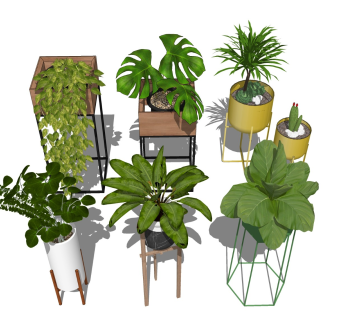 绿植盆栽 植物花架