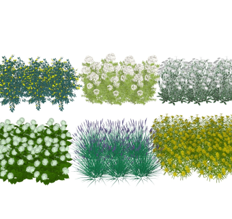 花草丛 灌木绿植