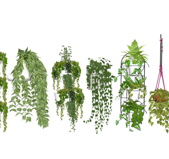 绿植吊篮 景观花篮