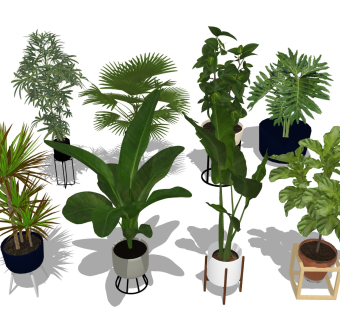 绿植花盆 盆栽花架