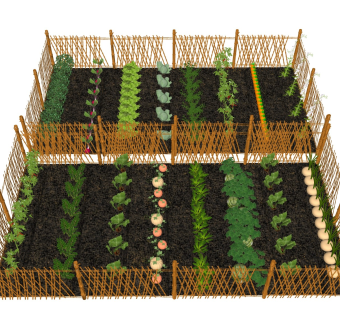 蔬菜种植 菜地菜园