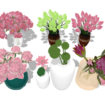 荷花莲花 莲蓬花苞