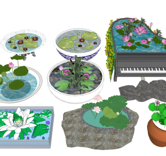 荷叶水缸 莲花水塘
