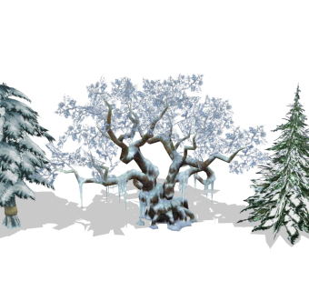 雪景树木