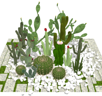 绿植仙人掌 户外景观