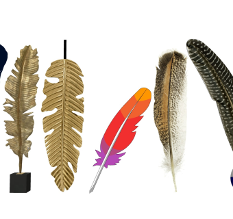 羽毛装饰摆件