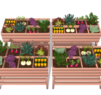 果蔬种植 菜地菜园