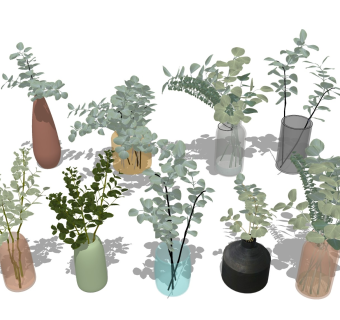 水培花瓶 尤加利叶