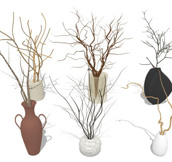 枝条树枝 枝干花瓶