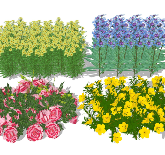 户外花草丛 草地绿植