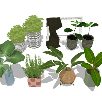 景观绿植盆栽 桌面植物摆件