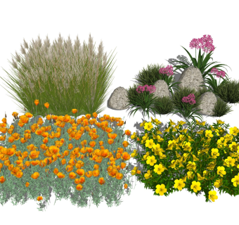 花卉植物 户外花草丛