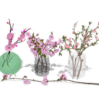 桃花梅花 花束鲜花