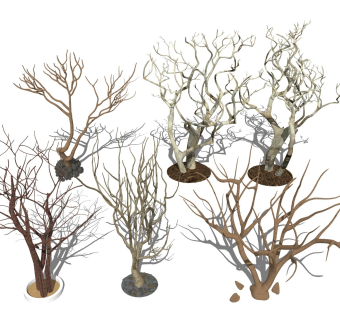 树杆枯树 树木树枝