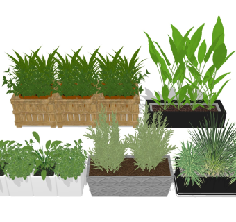 户外绿植花箱 景观花钵花坛