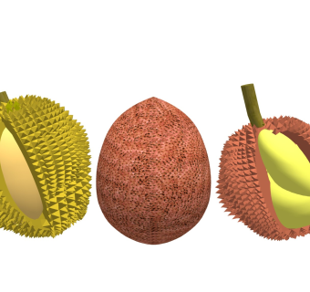 榴莲水果
