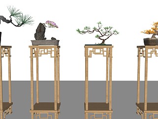 中式盆栽，罗汉松，盆景，松树，造型树，花架
