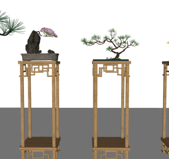 中式盆栽，罗汉松，盆景，松树，造型树，花架