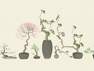  新中式盆栽，盆景，造型植物