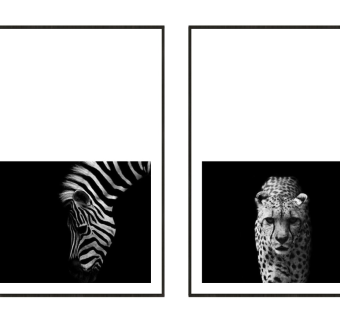 现代装饰画，动物