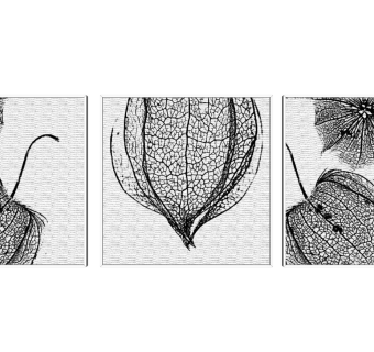 现代装饰画，植物